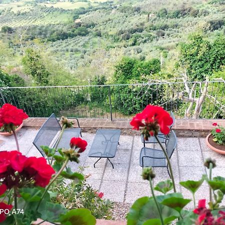 Tenuta Di Montemassi Fattoria Eksteriør bilde