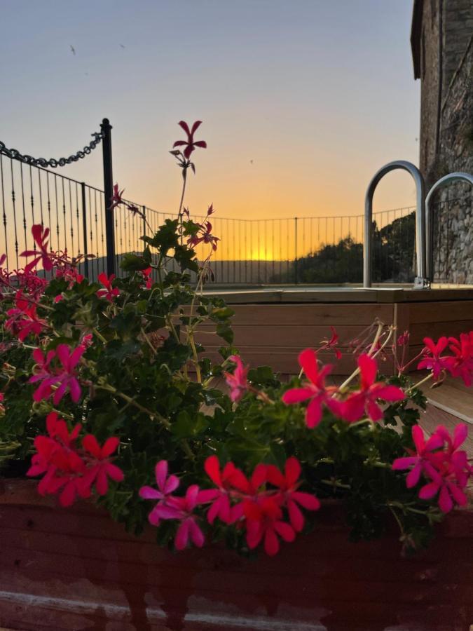 Tenuta Di Montemassi Fattoria Eksteriør bilde