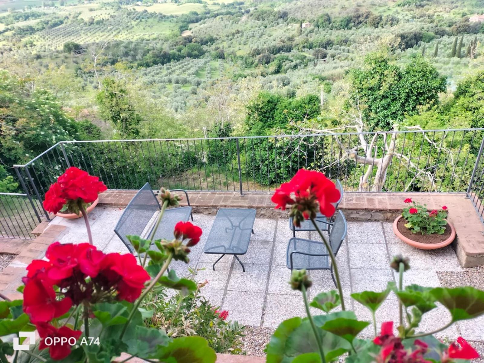 Tenuta Di Montemassi Fattoria Eksteriør bilde
